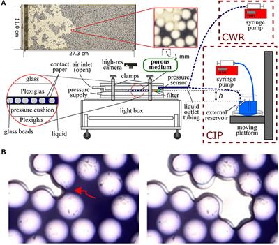 Intermittent Dynamics of Slow Drainage Experiments in Porous Media: Characterization Under Different Boundary Conditions